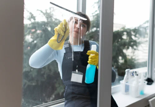 Nettoyage de vitres intérieures et extérieures à Oisly